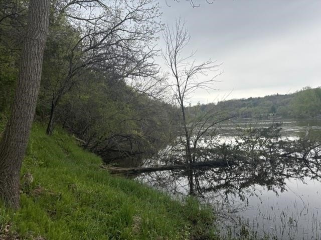 Picture 32