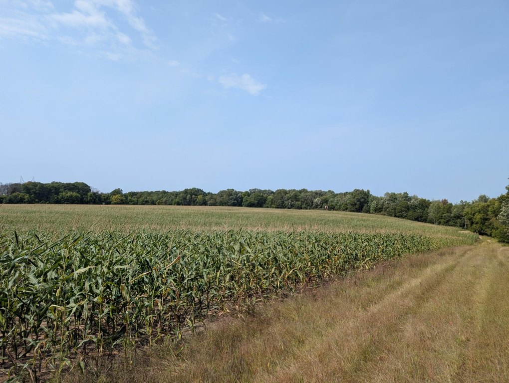 Picture 28