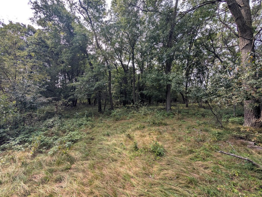 Picture 25