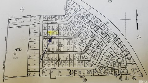 Walker Lake View Land Parcel