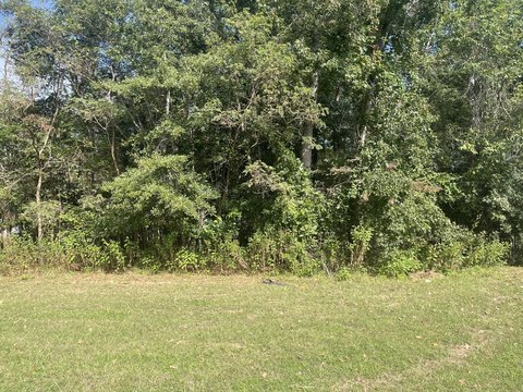 Land, North Augusta, SC