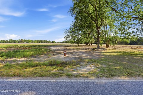 LAND - Mount Olive, NC