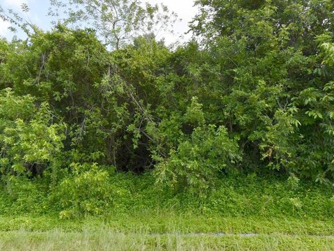 LAND - Port St. Lucie, FL