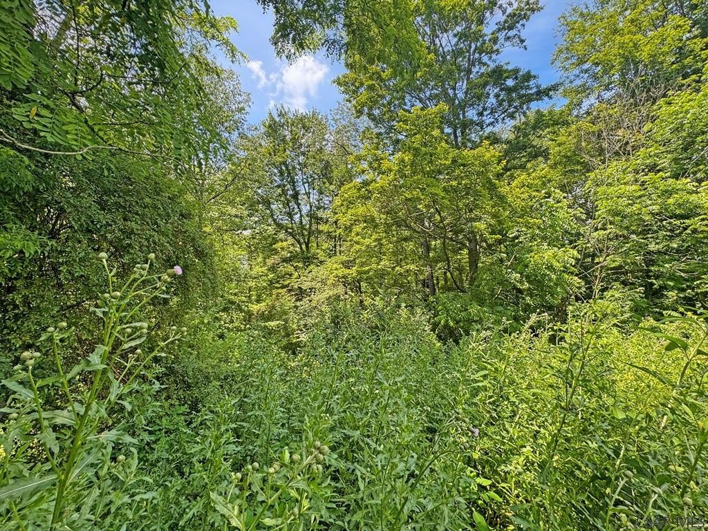 Picture 3