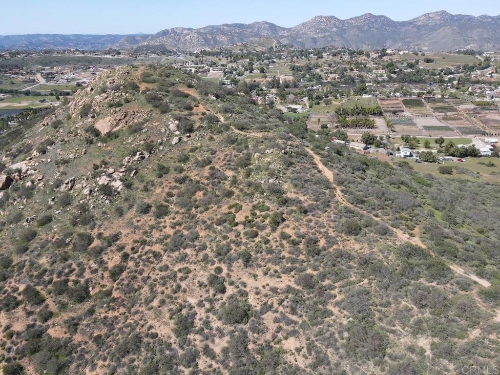 Picture 13