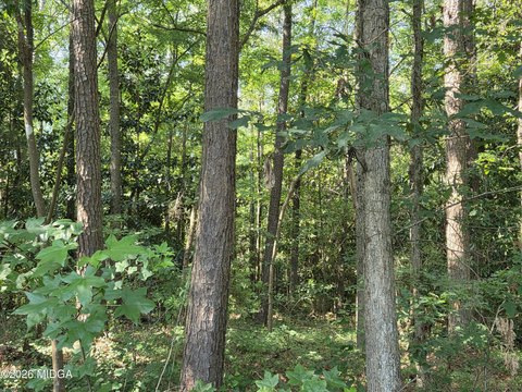 Land, Macon, GA