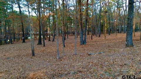 Land, Flint, TX