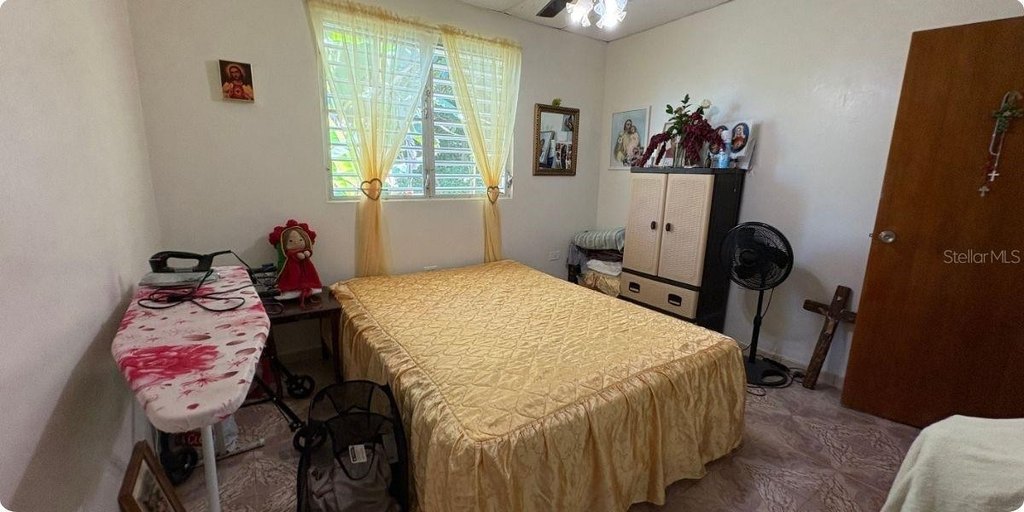 Picture 31