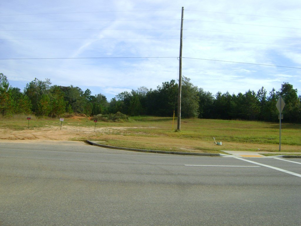 Picture 3