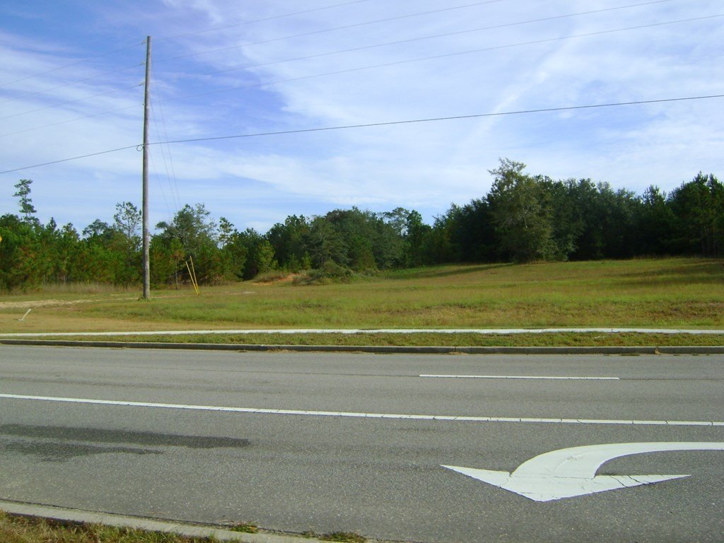 Picture 6