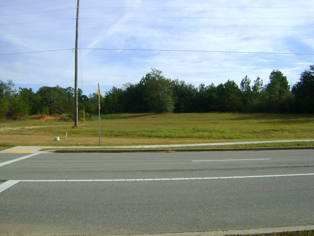 Picture 4