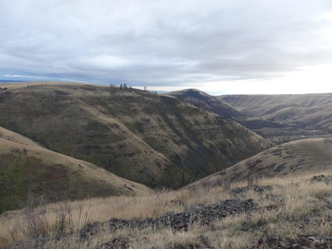 Pasture Land with Springs and Elk