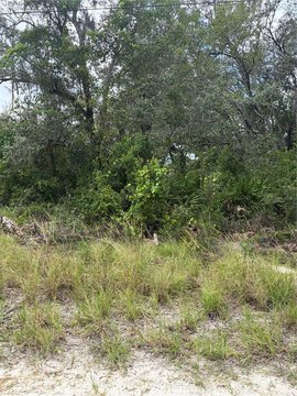Land, NEW PORT RICHEY, FL