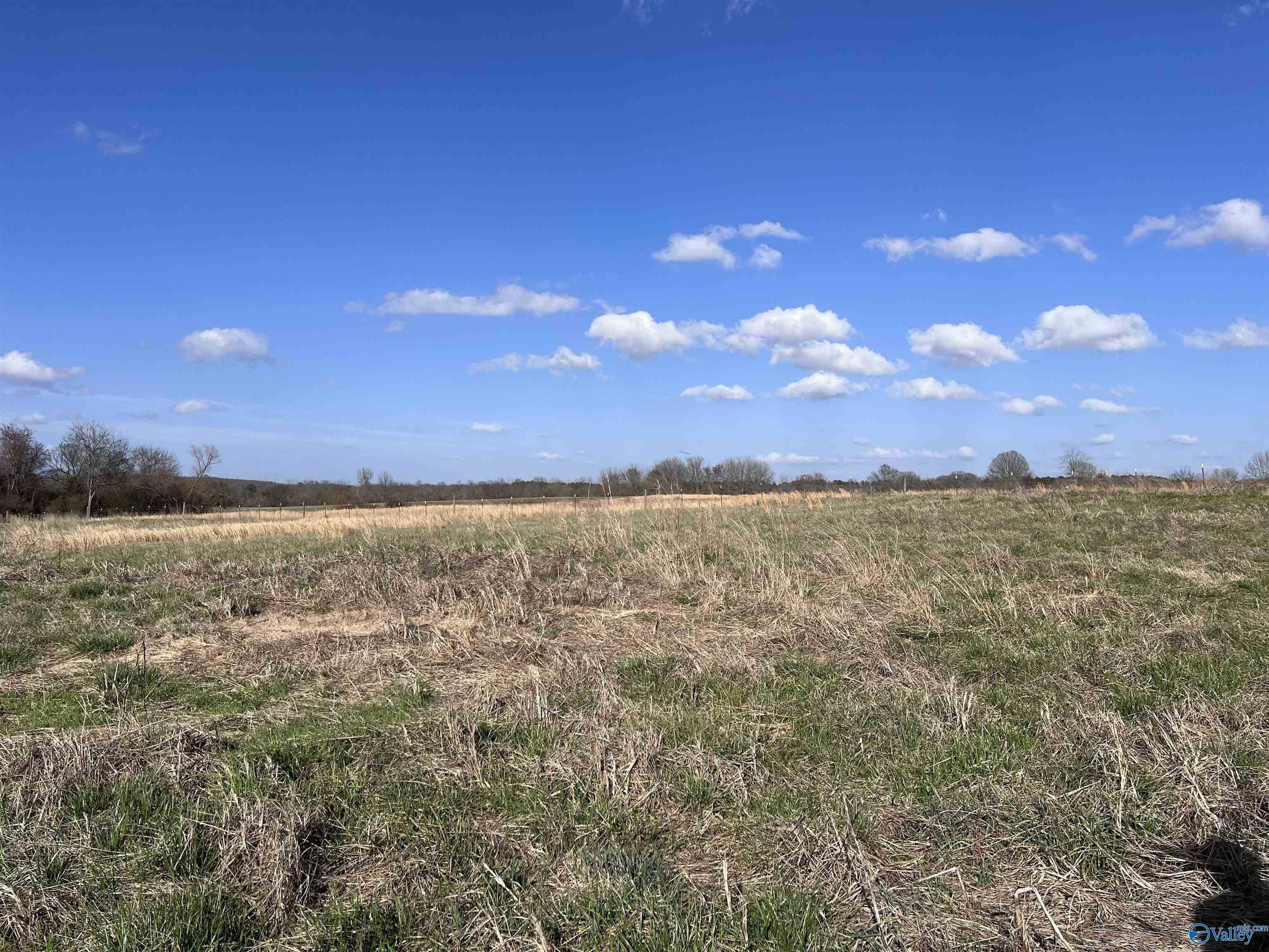 64 Acres in Section, AL