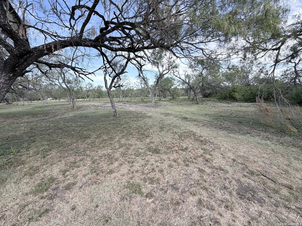 Picture 11