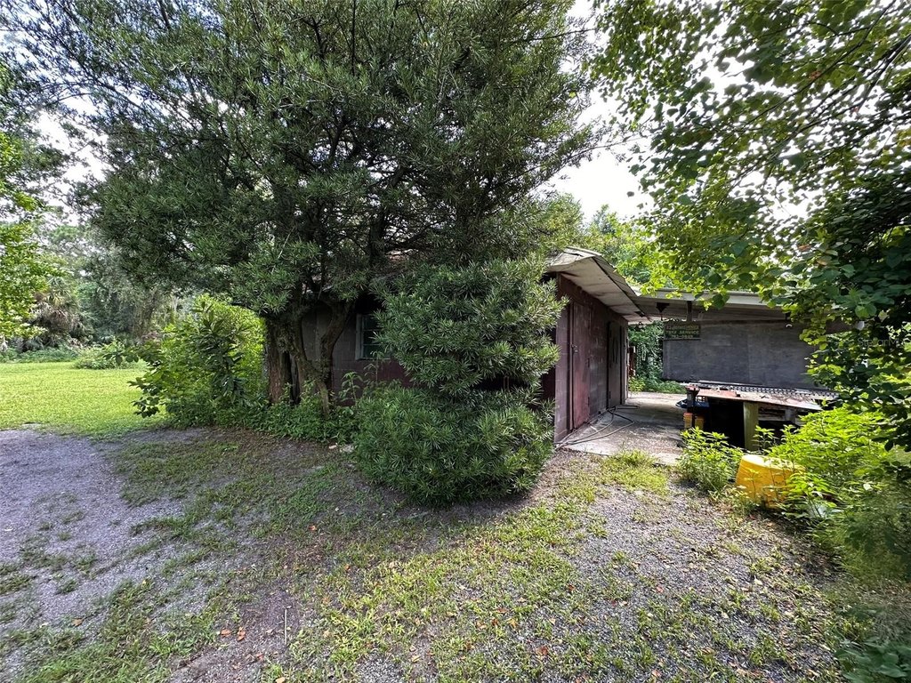 Picture 36