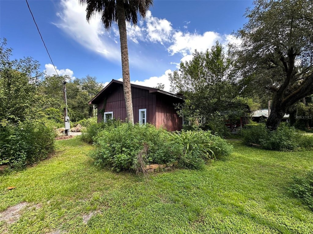 Picture 42