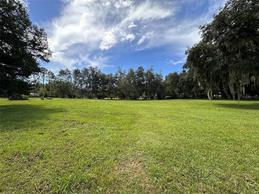 Picture 20