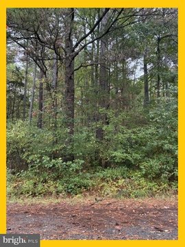 Land, BUSHWOOD, MD