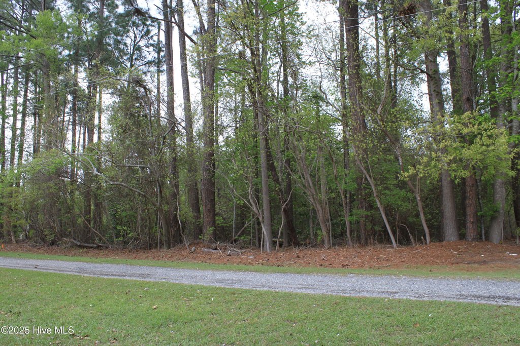 Picture 12