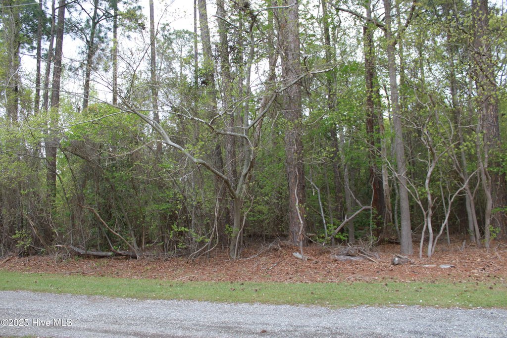 Picture 10