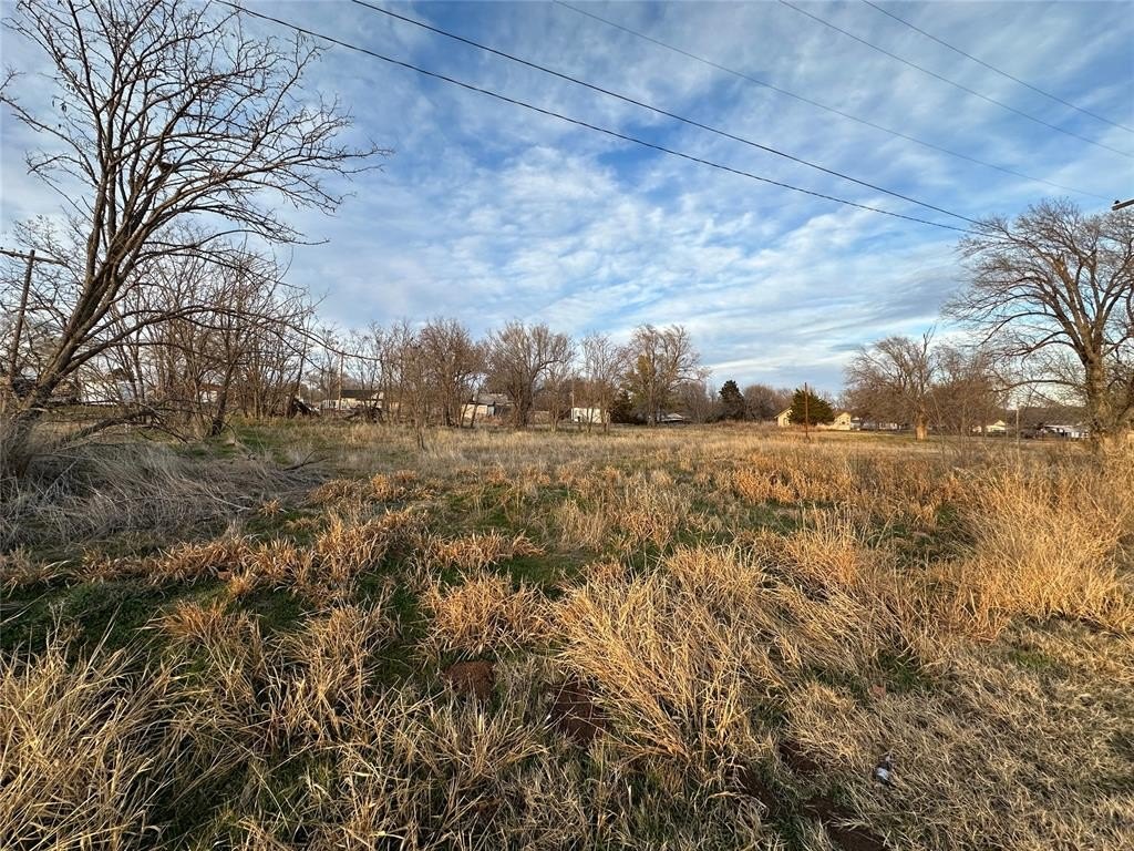 Picture 5