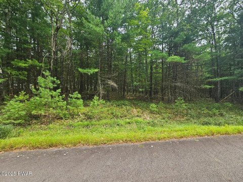 Residential Lot Near Lake Wallenpaupack