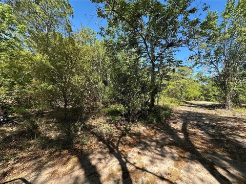 Vacant Lot in Poinciana