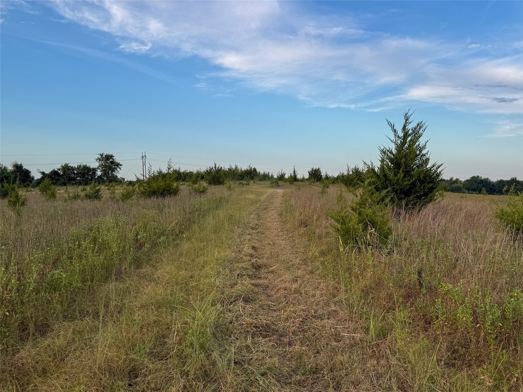 Picture 31