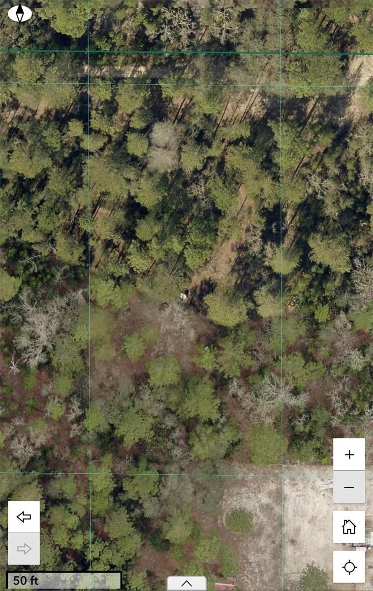 Versatile 1.25 Acre Homesite