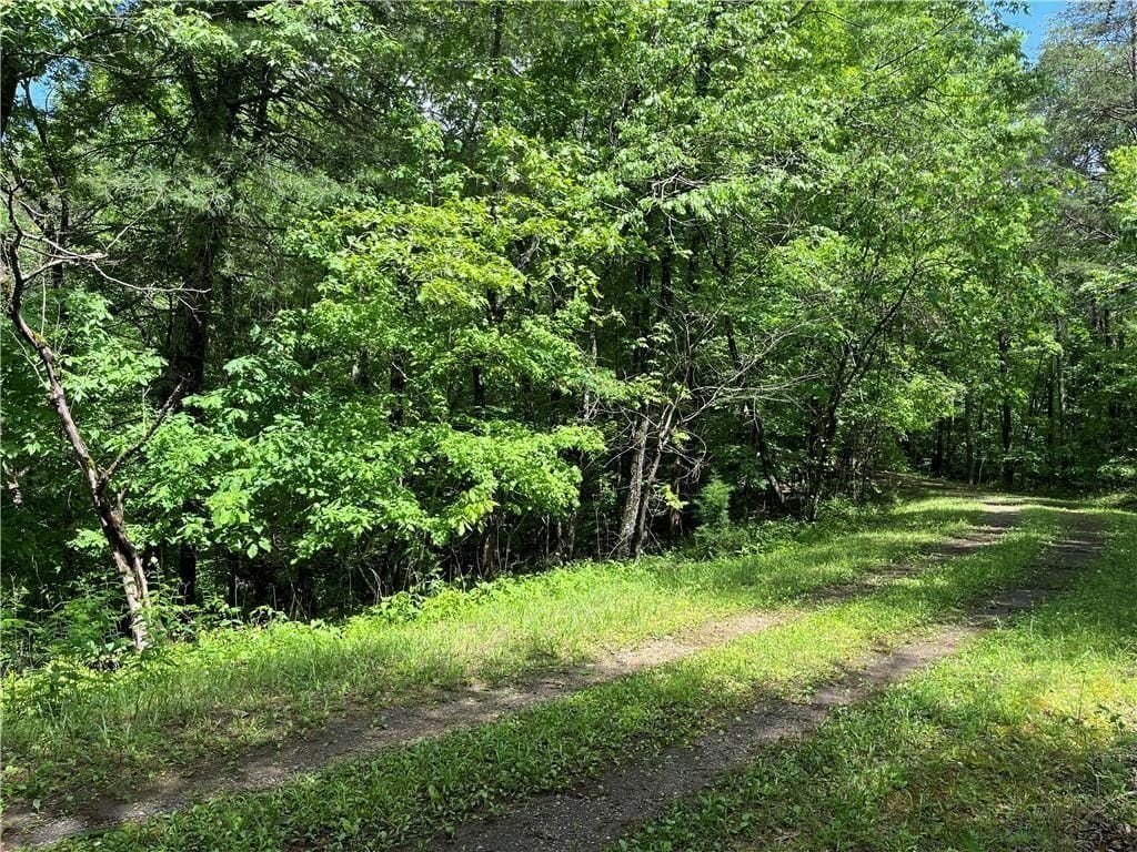 Picture 7
