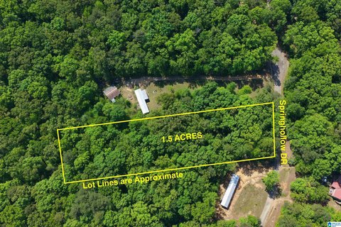 Residential Land Near Ashville