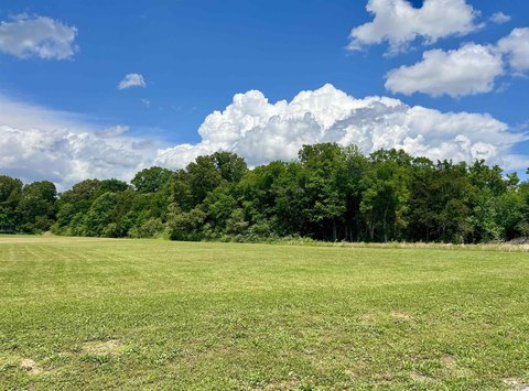LAND - Savannah, TN