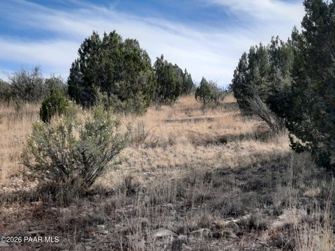 Seligman, AZ Land For Sale