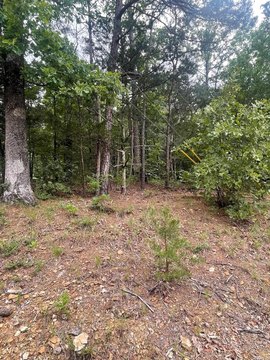 Fairfield Bay Land Opportunity