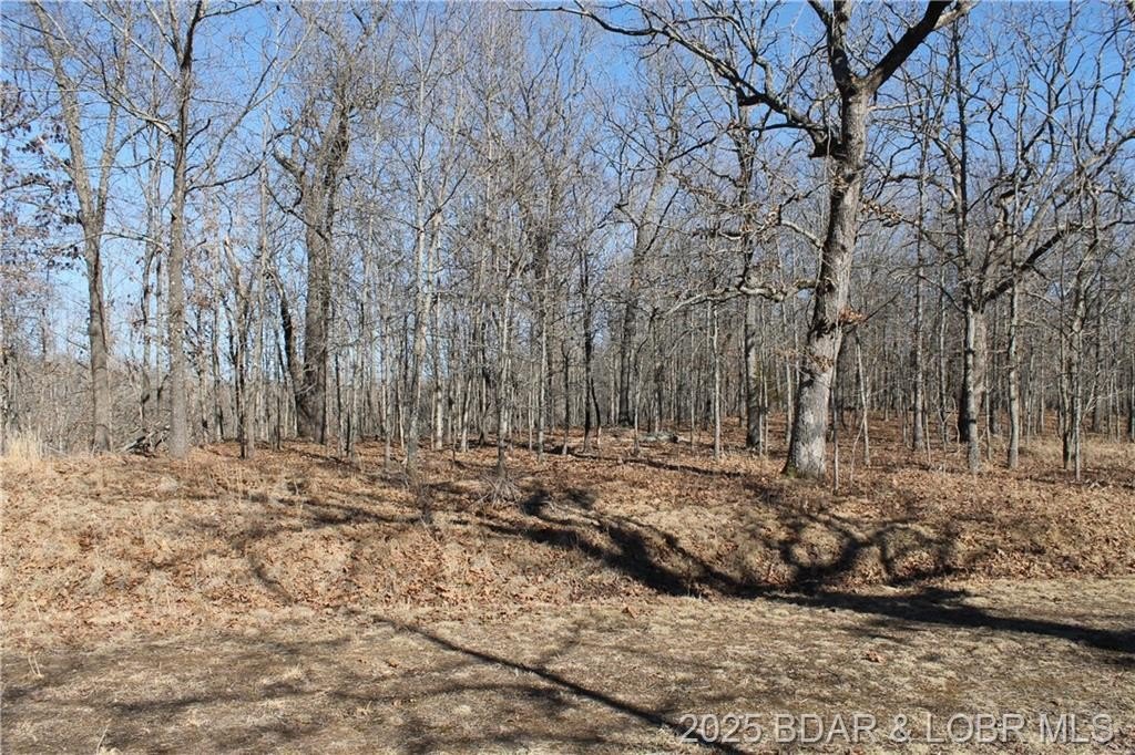 Edwards, MO 3-Acre Retreat