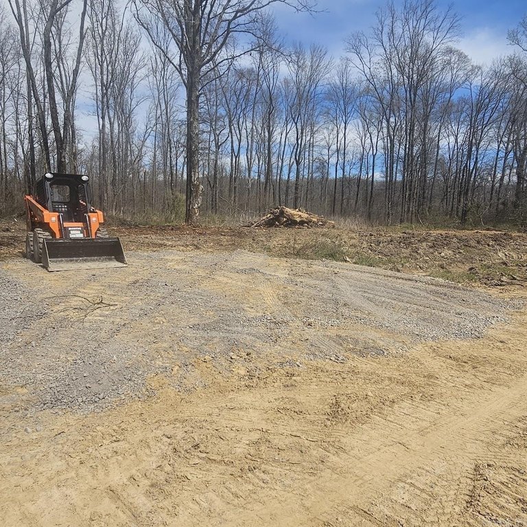 Picture 14