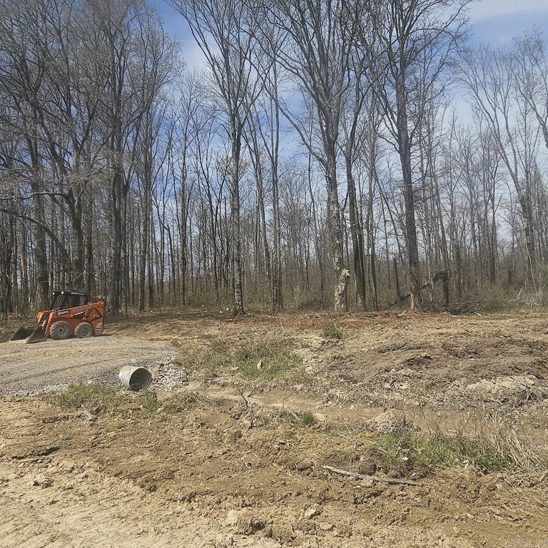 Picture 13