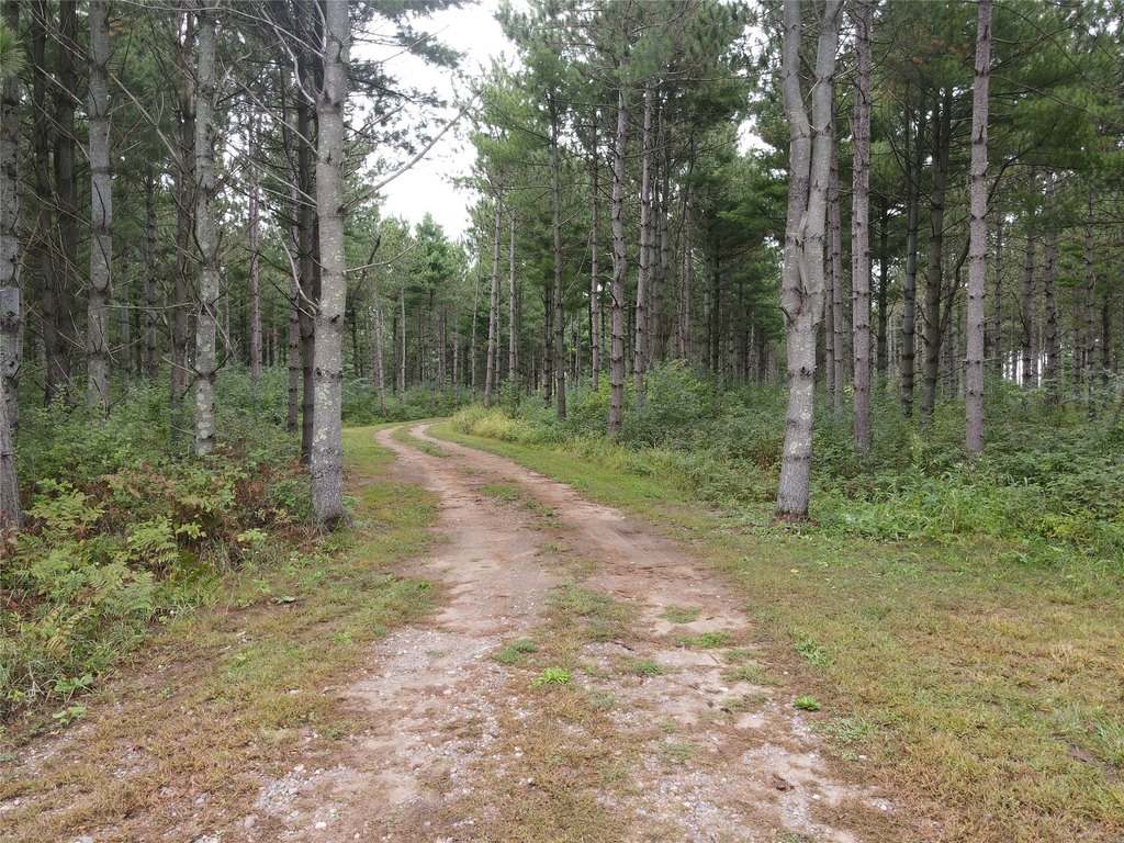 Picture 23