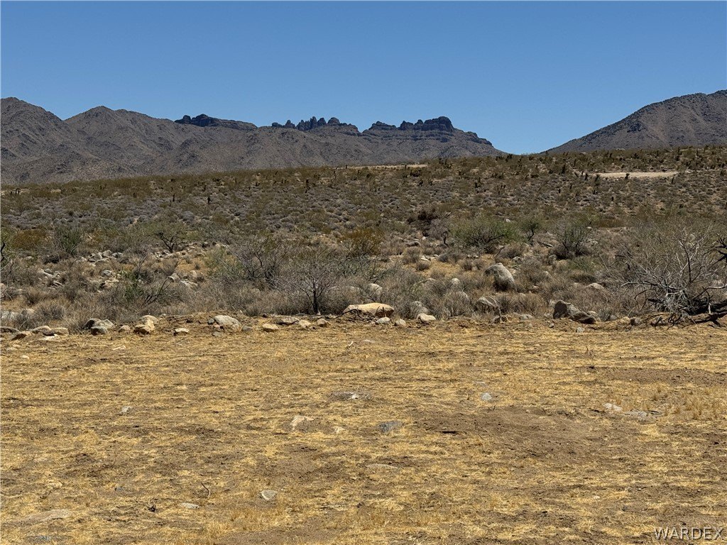 Picture 4