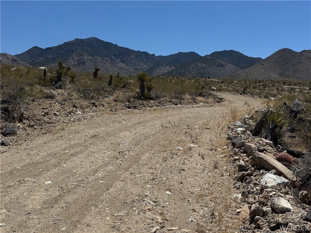Picture 19