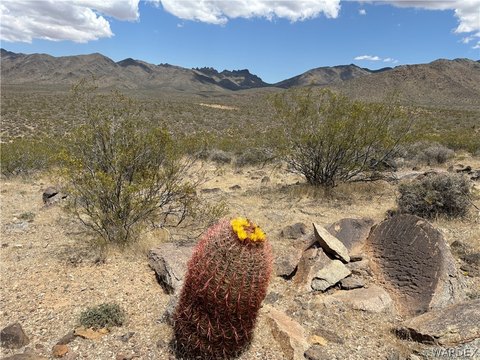 LAND - Dolan Springs, AZ