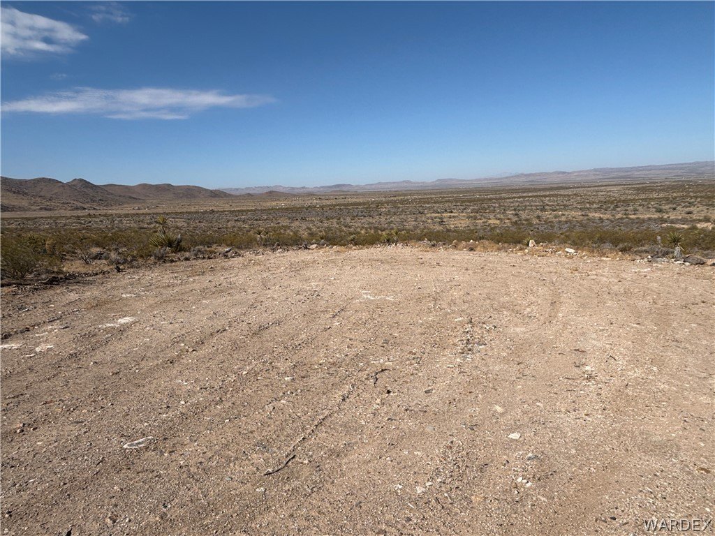Picture 23