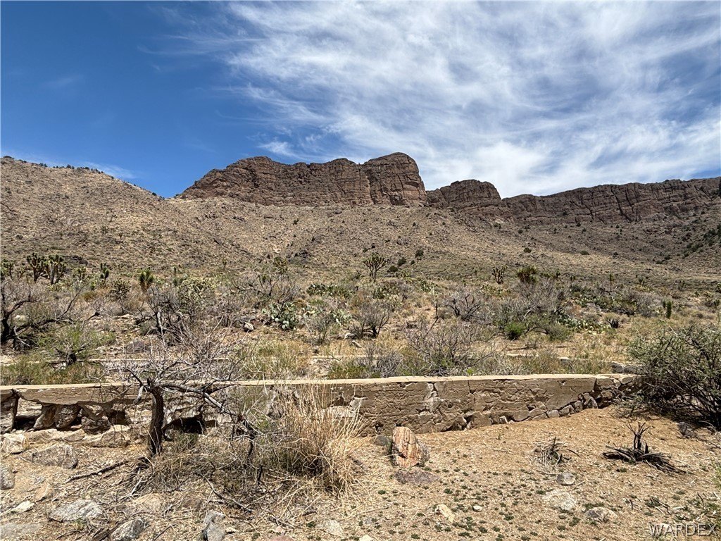 Picture 31