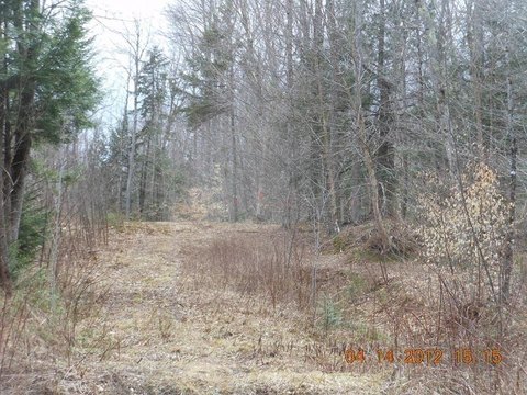 Wooded Residential Lots Package