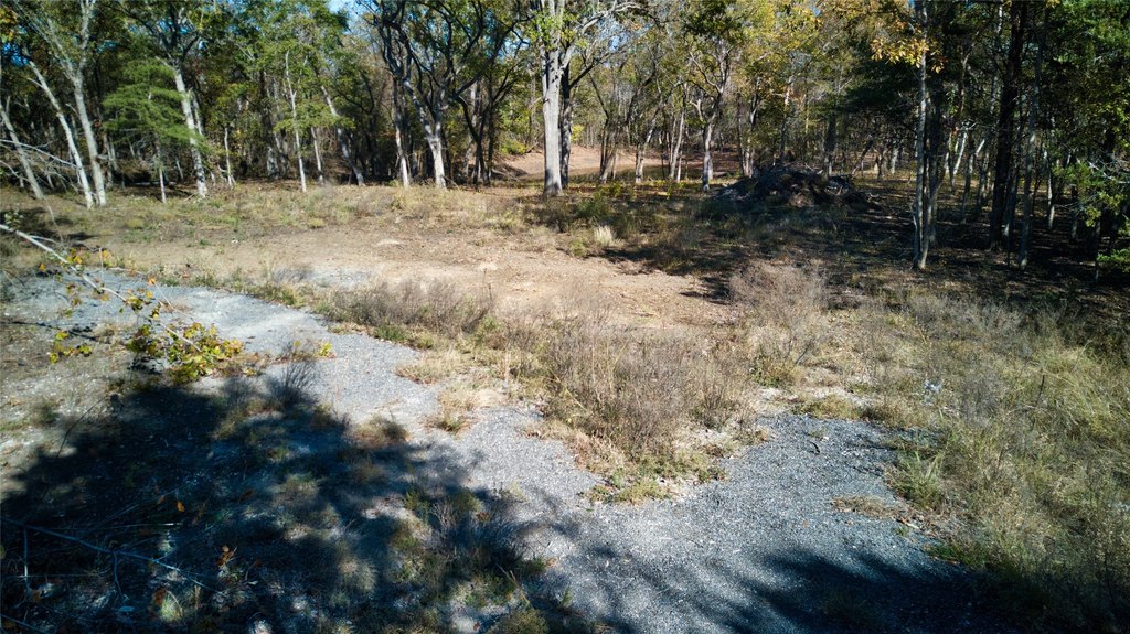 Picture 12