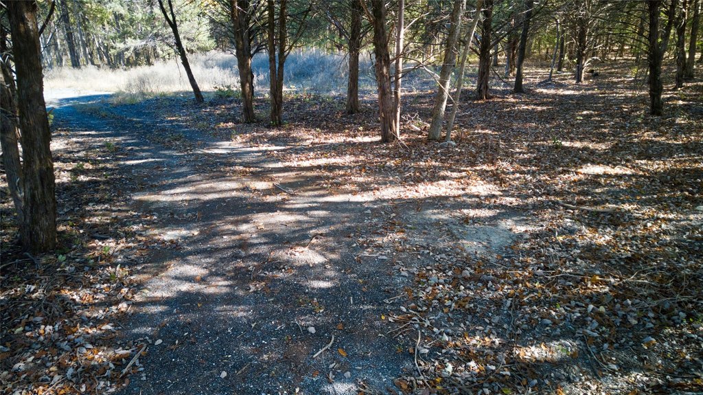 Picture 6