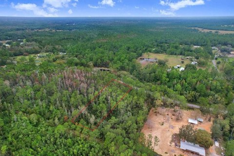 Wooded Land Parcel in Polk