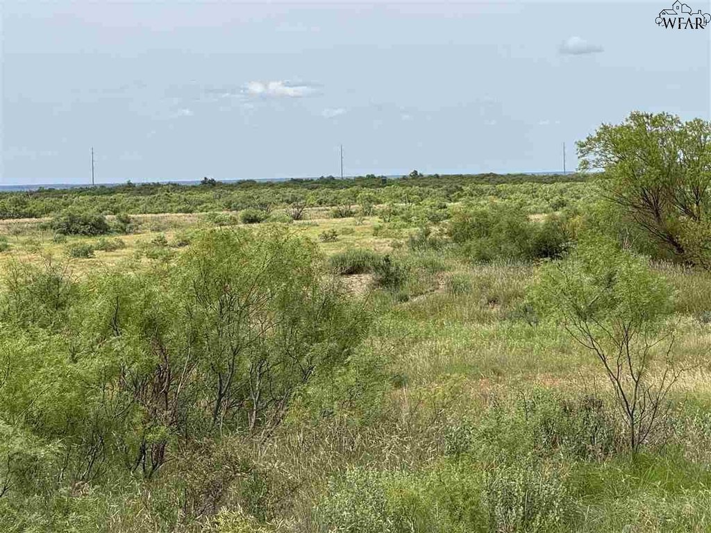 Picture 14