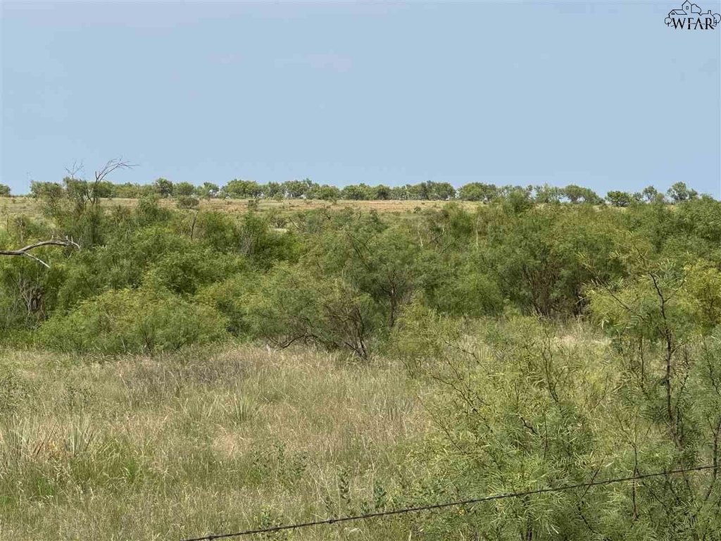 Picture 18